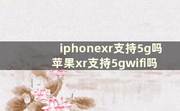 iphonexr支持5g吗 苹果xr支持5gwifi吗